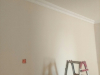 墙、顶面腻子批嵌