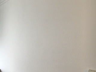 墙、顶面乳胶漆