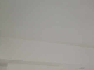 墙、顶面乳胶漆及墙纸铺贴