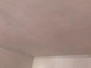 墙、顶面乳胶漆