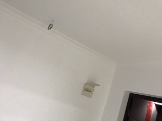 墙、顶面腻子批嵌