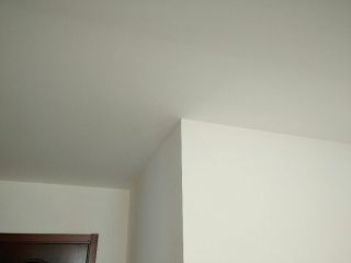 墙、顶面乳胶漆