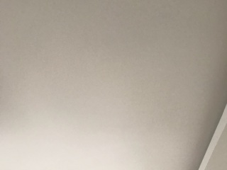 墙、顶面乳胶漆