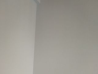 墙、顶面乳胶漆