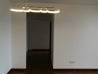 墙、顶面腻子批嵌