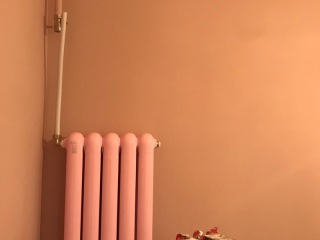 墙、顶面乳胶漆及墙纸铺贴