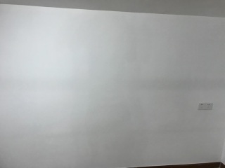 墙、顶面腻子批嵌