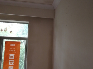 墙、顶面腻子批嵌