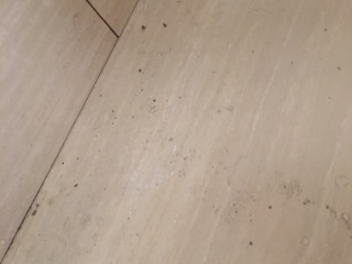 地砖铺贴及地面找平施作