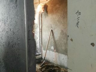 日常巡检