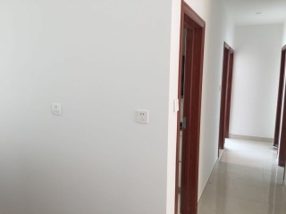 墙、顶面乳胶漆