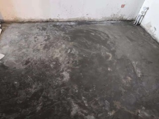 日常巡检