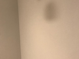 墙、顶面腻子批嵌