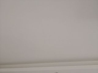 墙、顶面乳胶漆