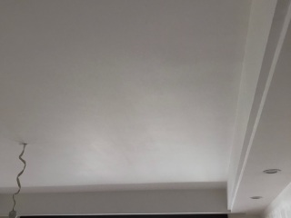 墙、顶面乳胶漆