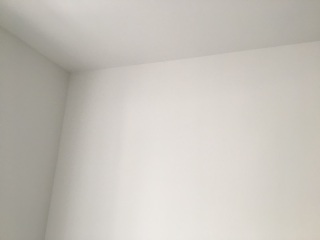 墙、顶面乳胶漆