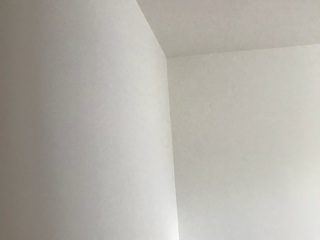 墙、顶面腻子批嵌