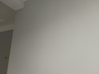 墙、顶面乳胶漆及墙纸铺贴