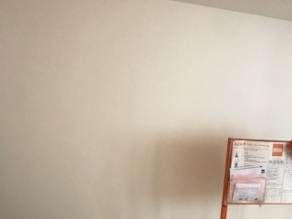 墙、顶面腻子批嵌
