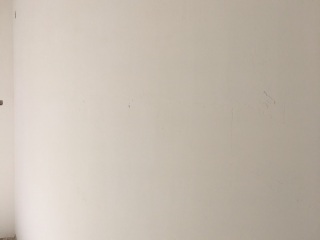 墙、顶面腻子批嵌
