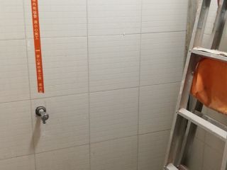 墙、顶面乳胶漆