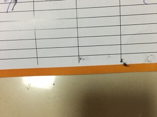 日常巡检