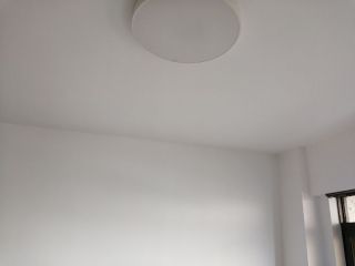墙、顶面乳胶漆
