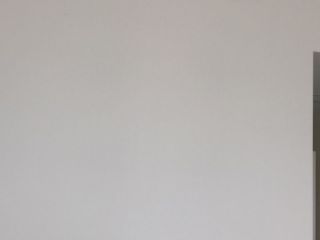 墙、顶面乳胶漆