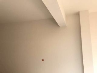 墙、顶面腻子批嵌