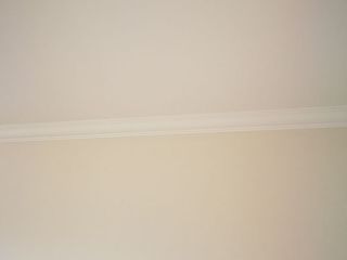 墙、顶面乳胶漆