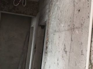 日常巡检