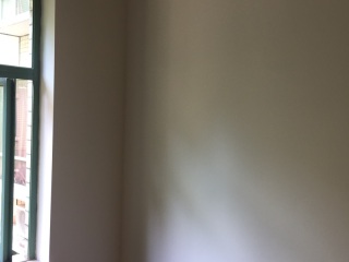 墙、顶面乳胶漆