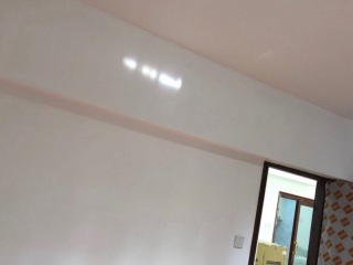 墙、顶面乳胶漆