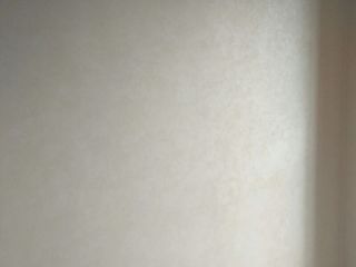 墙、顶面乳胶漆