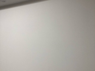 墙、顶面乳胶漆