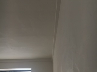 墙、顶面腻子批嵌