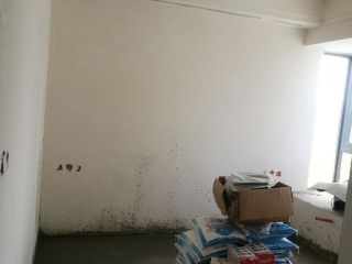 墙、顶面腻子批嵌