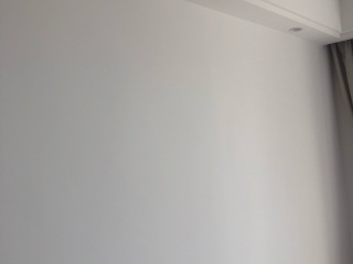 墙、顶面乳胶漆