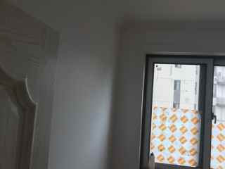 墙、顶面乳胶漆