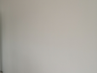 墙、顶面乳胶漆