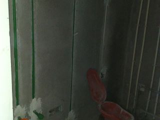 日常巡检