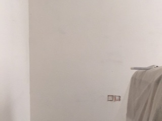 墙、顶面腻子批嵌