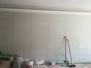 墙、顶面乳胶漆