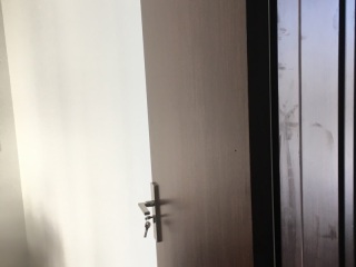 成品门及墙纸铺贴