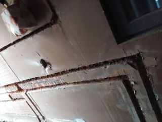 水、电管开槽施作
