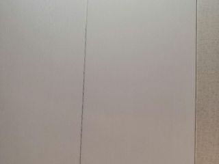 墙、顶面乳胶漆