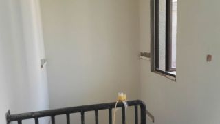 墙、顶面腻子批嵌
