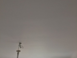 墙、顶面腻子批嵌