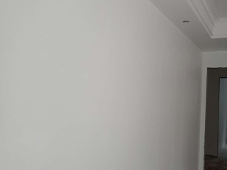 墙、顶面腻子批嵌