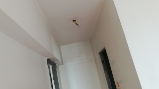 墙、顶面腻子批嵌